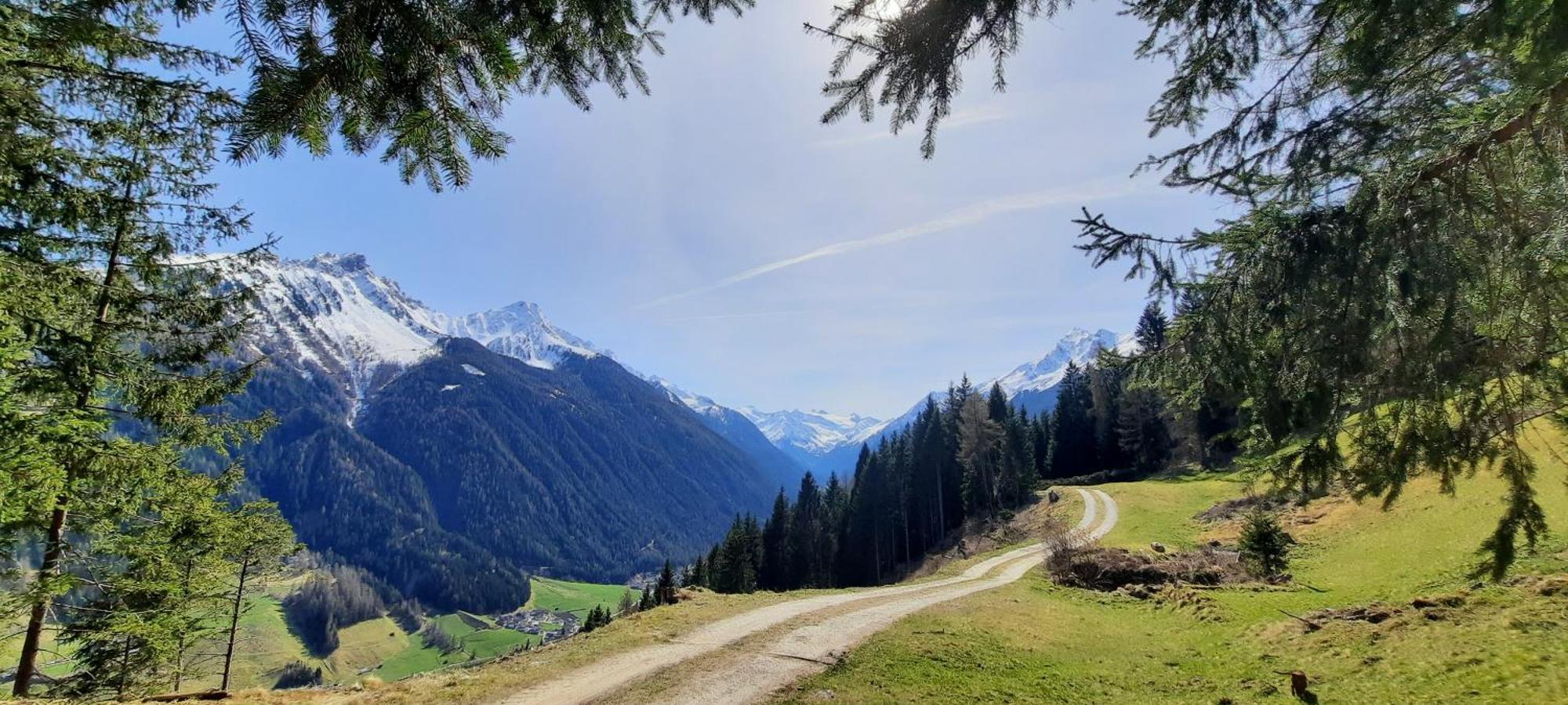 Apartment Peer Neustift im Stubaital